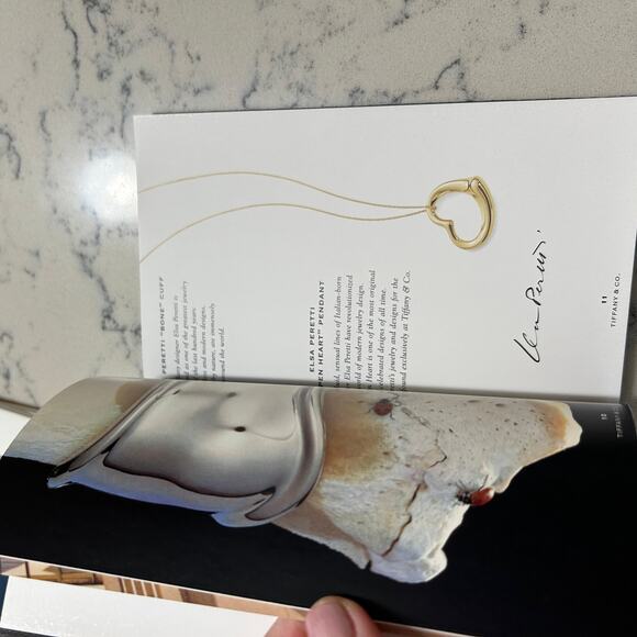 Tiffany Design History and Catalog 2000 Black 5x7 in - Picture 2 of 6